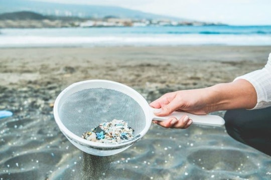 Hành trình pháp lý bảo vệ hệ sinh thái và con người