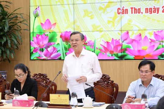 TP. Cần Thơ: Các phường báo cáo về công tác tổ chức bầu cử