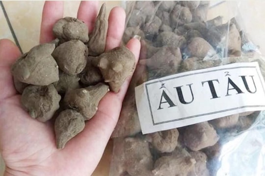Sau bát canh ấu tàu, bệnh nhân rơi vào tình trạng ngộ độc nguy hiểm