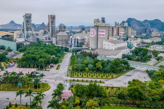 Hải Phòng: Gia hạn cho Công ty Xi măng Chinfon sử dụng hơn 176.000m2 đất