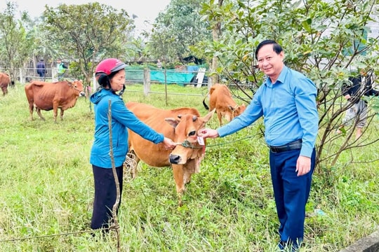 Từ nghị quyết của Hội đồng nhân dân tỉnh đến hiệu quả giảm nghèo ở cơ sở