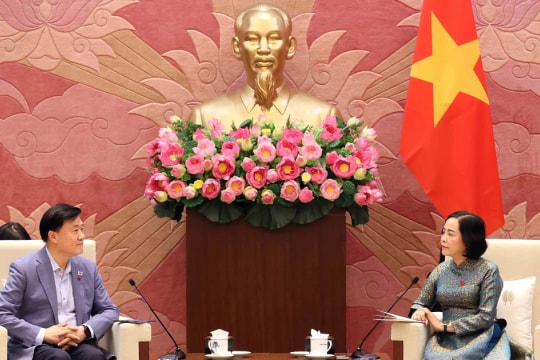 Official calls for stronger Vietnam – RoK economic, locality-to-locality links