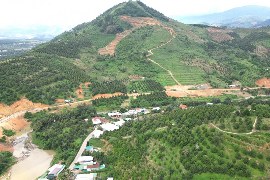 Nâng tầm giá trị nông sản vùng núi Khánh Hòa