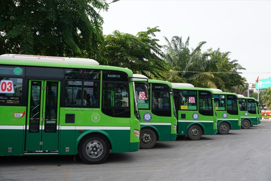 TP. Hồ Chí Minh: Dự kiến đấu thầu 44 tuyến xe buýt có hỗ trợ kinh phí