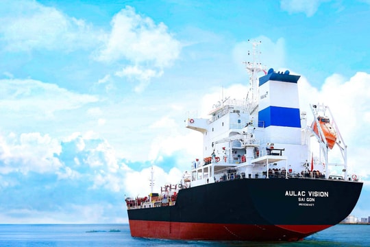 ALC lên sàn: Lộ diện "siêu hệ sinh thái" kín tiếng từ vận tải biển đến ngân hàng, giáo dục