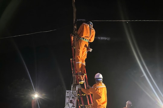 Thắp sáng nơi chưa từng có điện: Hành trình xóa vùng lõm điện – lõm sóng của EVNNPC