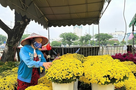 Hội hoa Xuân TP. Hồ Chí Minh: “Xuân hội tụ - Vững bước vươn mình”