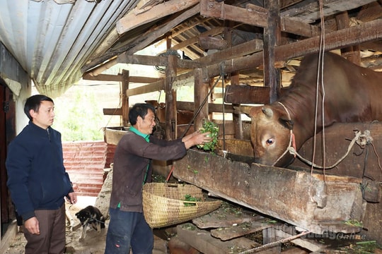 Chuyển biến tích cực trong giảm nghèo