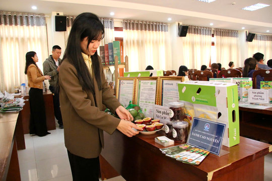 Đắk Lắk: Nâng chuẩn sản phẩm OCOP địa phương để phát triển bền vững