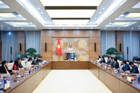 Doanh nhân trẻ cần thượng tôn pháp luật, lấy đổi mới sáng tạo làm động lực phát triển