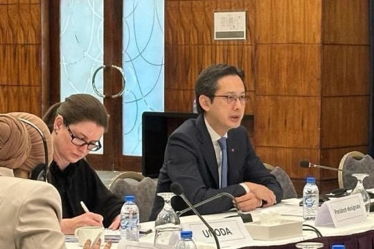 Vietnam chairs consultation on NPT RevCon 11 with Middle East, North Africa countries