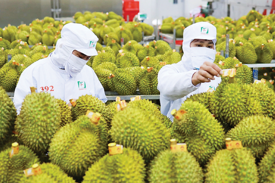 Ban hành Kế hoạch triển khai truy xuất nguồn gốc nông, lâm, thủy sản