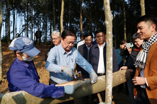 Phó Chủ tịch Quốc hội Lê Minh Hoan thăm một số mô hình sản xuất nông nghiệp tại Lào Cai