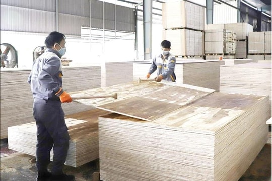 Triển khai NPS kết hợp công cụ cải tiến, nâng cao năng suất ngành gỗ