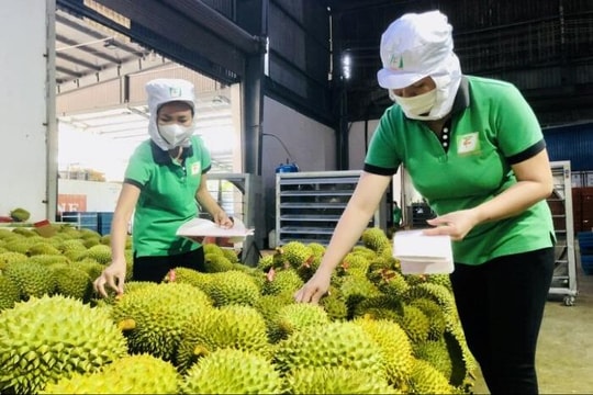 Nông nghiệp Việt bước vào kỷ nguyên truy xuất nguồn gốc