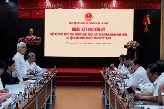 Khảo sát việc thực hiện chính sách, pháp luật tại Tập đoàn Công nghiệp Cao su Việt Nam