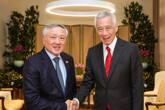 Vietnam seeks stronger partnership with Singapore
