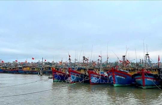 Thủ tướng Phạm Minh Chính chỉ đạo huy động tối đa thời gian, nguồn lực để chống khai thác IUU