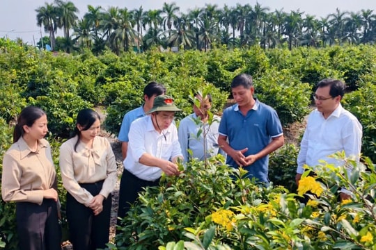 TP. Hồ Chí Minh: Xây dựng nền nông nghiệp đô thị, nông thôn hiện đại, nông dân văn minh