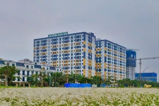 Không để ai bị bỏ lại phía sau - từ mục tiêu Đại hội đến nhịp sống cơ sở