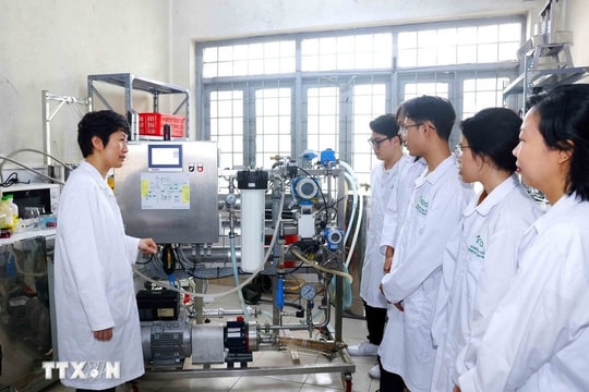 Human resources breakthrough - sustainable foundation for development