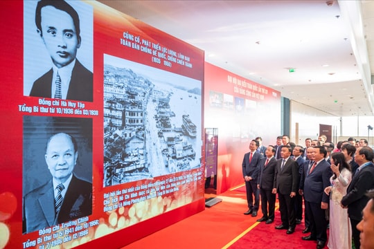Đặt sinh thái môi trường làm thước đo trong mỗi chính sách phát triển