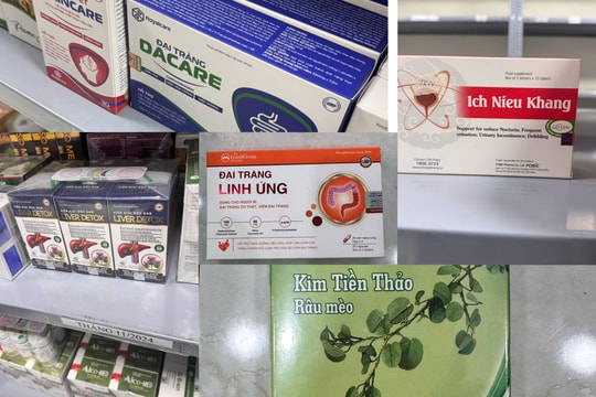 Lào Cai: Triệt phá đường dây sản xuất, buôn bán thực phẩm chức năng giả quy mô đặc biệt lớn