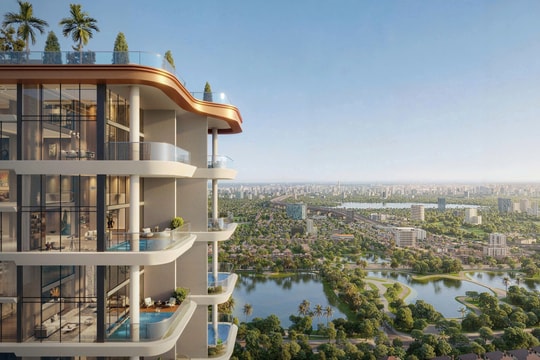 Phiên bản giới hạn: sức hút vượt thời gian từ sự khan hiếm