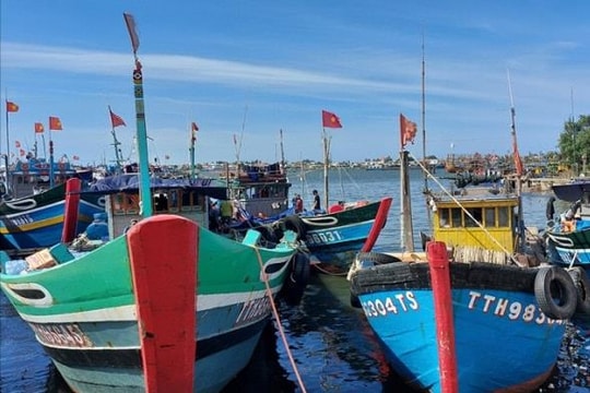 Đồng Tháp: Hỗ trợ ngư dân chuyển đổi nghề
