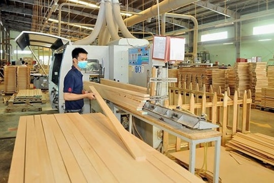 Vietnam's wood exports reach record 17 billion USD in value