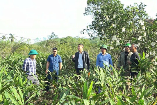 “Làm ngay, làm quyết liệt, làm chắc chắn” - Mệnh lệnh từ thực tiễn