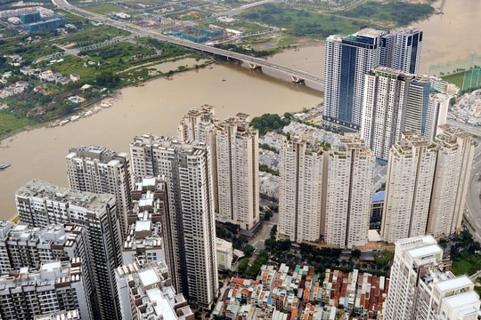 Chọn lọc và cạnh tranh thực chất