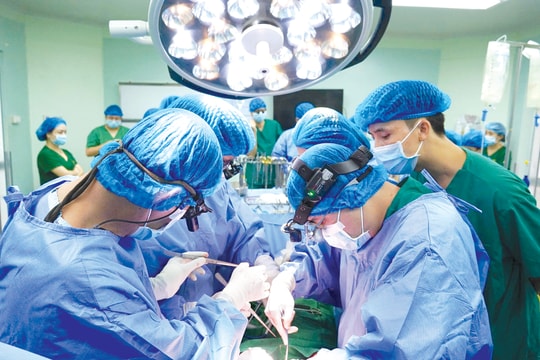 Dấu ấn đặc biệt trong lĩnh vực ghép tạng tại đồng bằng sông Cửu Long
