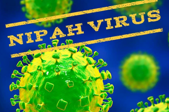 Virus Nipah gây tử vong nhanh, chuyên gia khuyến cáo
