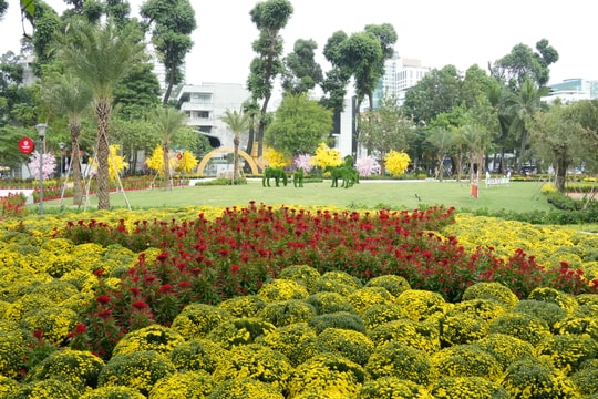 TP. Hồ Chí Minh: Cận cảnh công viên “Rừng sinh thái trong lòng đô thị”