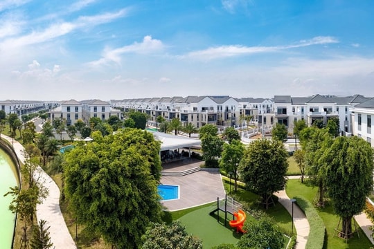 Novaland "bơm" vốn cho Bất động sản Tường Minh: "Cuộc đua" với thời hạn bàn giao quý 2/2026