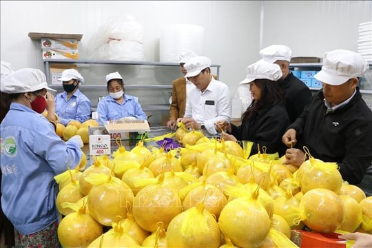 Doanh nghiệp xuất khẩu nông sản sang Ba Lan cần lưu ý