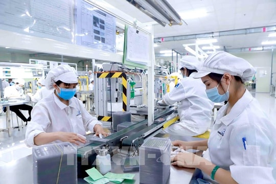 Gấp rút lấp đầy khoảng trống pháp lý
