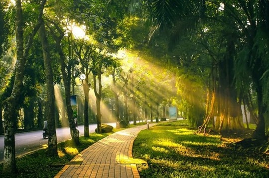 Dự báo thời tiết ngày 29/1: Miền Bắc sáng sớm rét, trưa chiều nắng