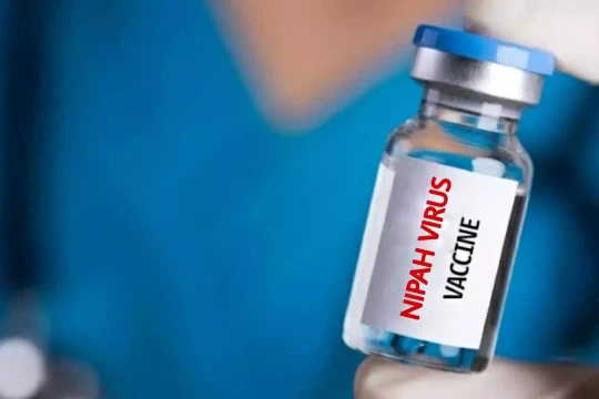 Trung Quốc nghiên cứu loại thuốc giúp kiểm soát virus Nipah