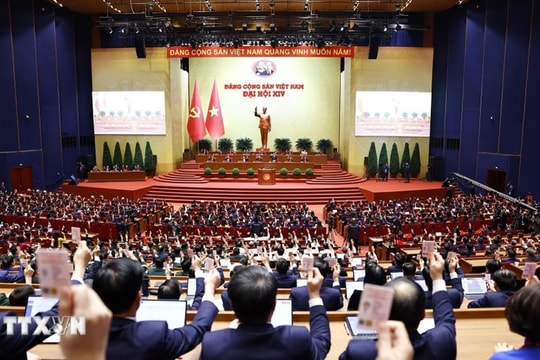 14th National Party Congress brings new vitality to international community: French senator