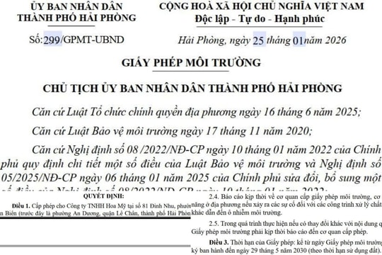 Hải Phòng: Yêu cầu Công ty TNHH Hoa Mỹ thực hiện nghiêm luật môi trường