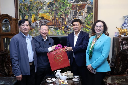 Phó Chủ tịch Quốc hội Vũ Hồng Thanh chúc Tết nguyên lãnh đạo Quốc hội
