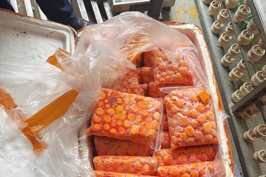 Hà Nội: Hơn 12 tấn hàng thực phẩm không rõ nguồn gốc bị thu giữ
