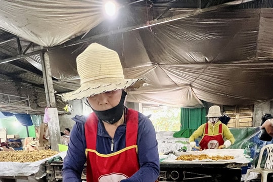 Mứt gừng Mỹ Chánh: Hương vị nồng nàn ngày Tết cổ truyền