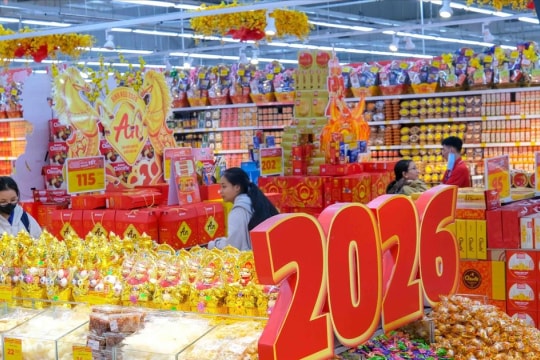 Prime Minister urges thorough Tet preparations for all