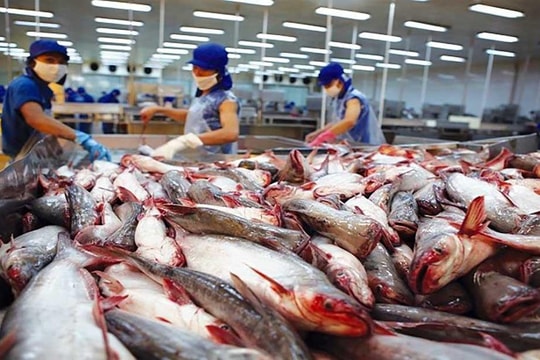 Chủ động phòng vệ thương mại bằng dữ liệu