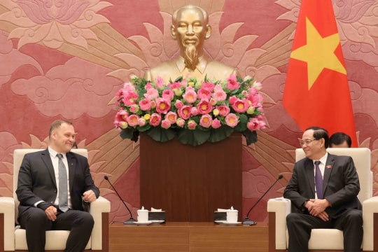 Official calls for stronger ties between security committees of Vietnamese, Hungarian NAs