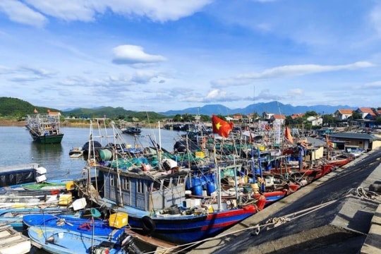 IUU fishing combat: Quang Ninh completes fishing licence issuance ahead of schedule