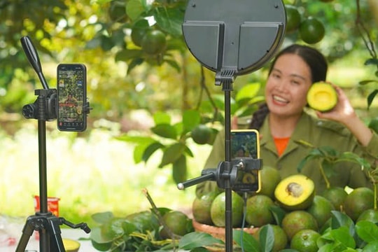 60% dân số Việt Nam tham gia mua sắm trực tuyến